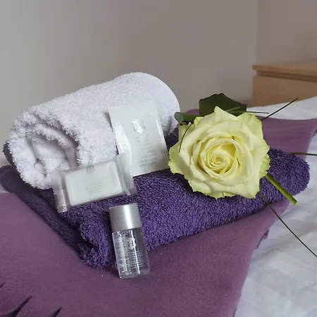 Hotel Zum Bügeleisen 3*