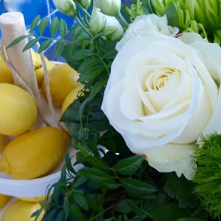 Hotel Zum Bügeleisen Duisburg