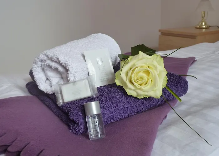 Hotel Zum Buegeleisen 3*