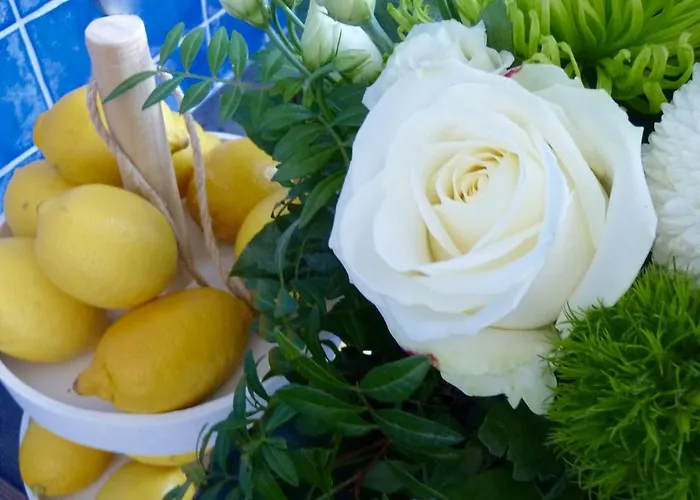 Hotel Zum Buegeleisen Duisburg